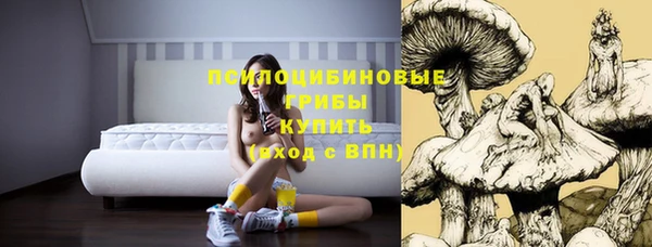 ECSTASY Няндома