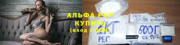 PSILOCYBIN Нязепетровск