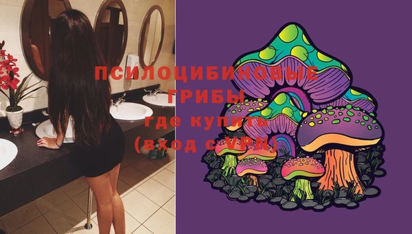 спайс Новозыбков