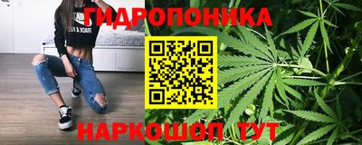 мдпв Ипатово