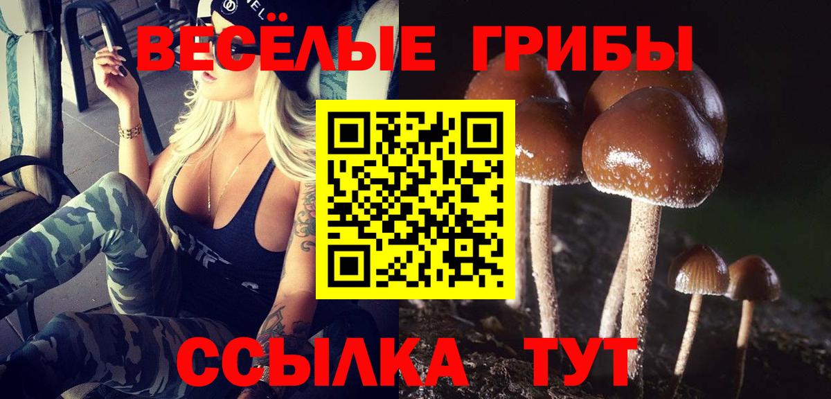 наркошоп  Вход с VPN  Галлюциногенные грибы Magic Shrooms  Усть-Лабинск  Псилоцибиновые грибы Magic Shrooms 